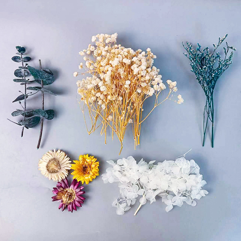 Craft Embellishments - 1pack Veelsoortige Gedroogde Bloemen Set Voor